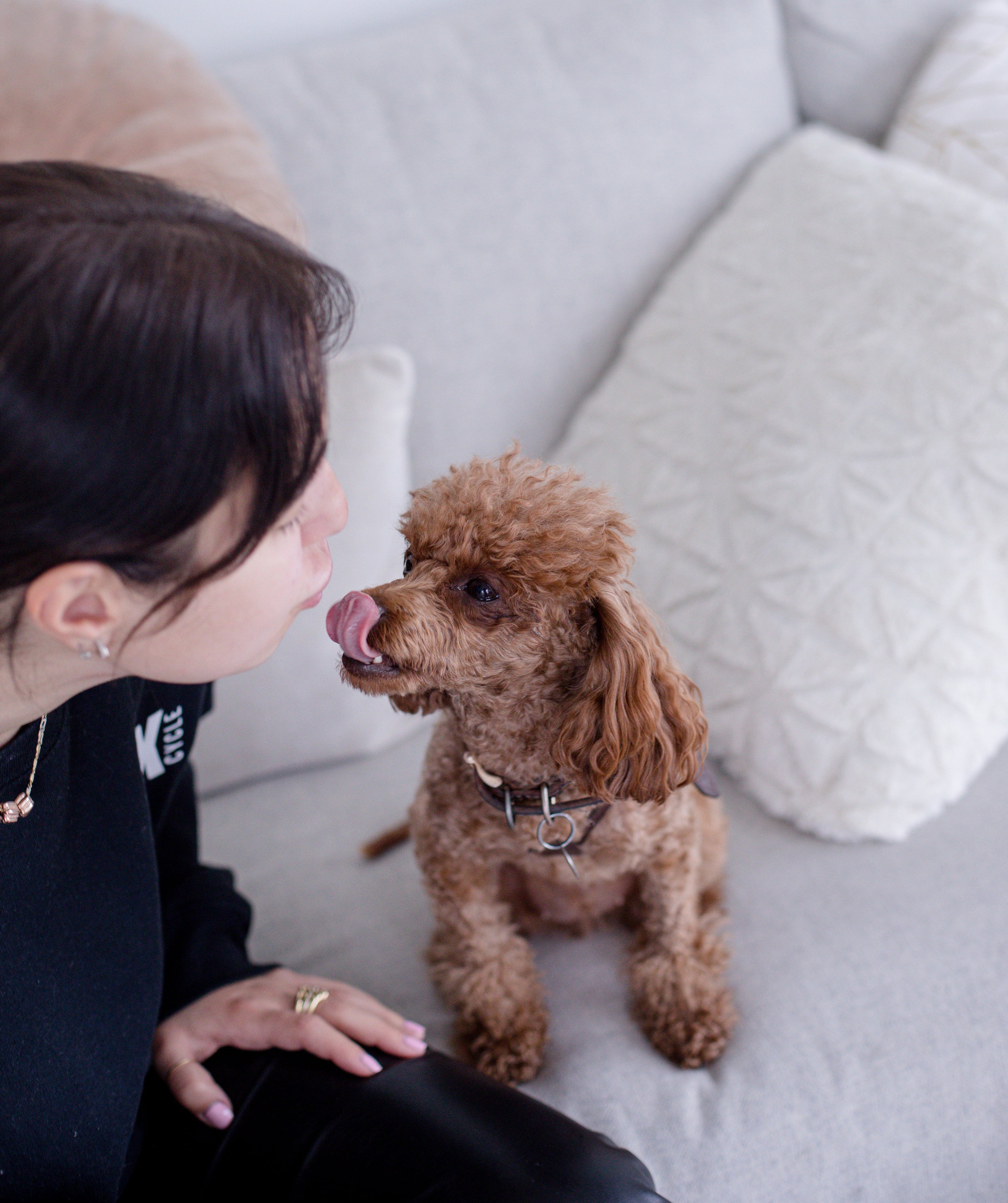 How to Support a Friend Who’s Lost Their Pet
