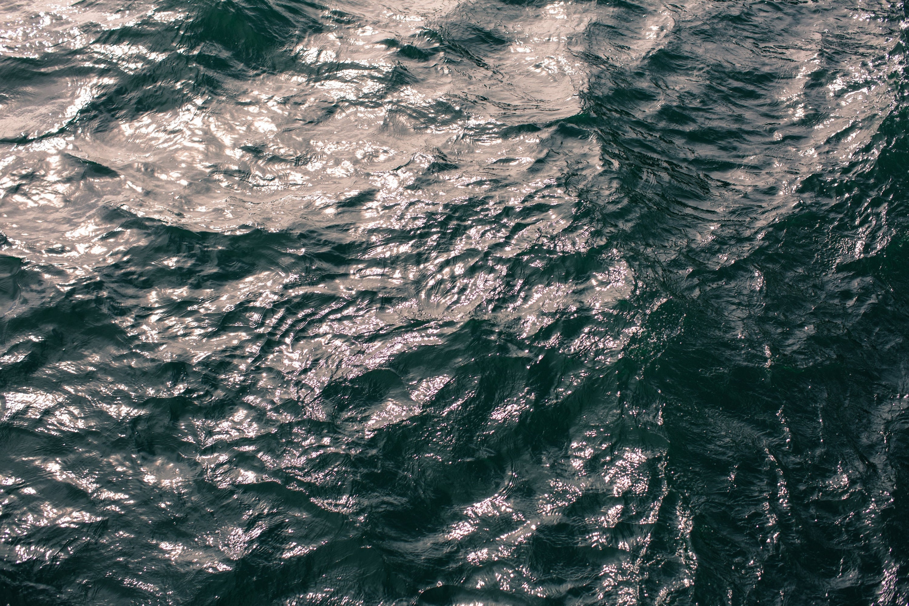 What is Aquamation?