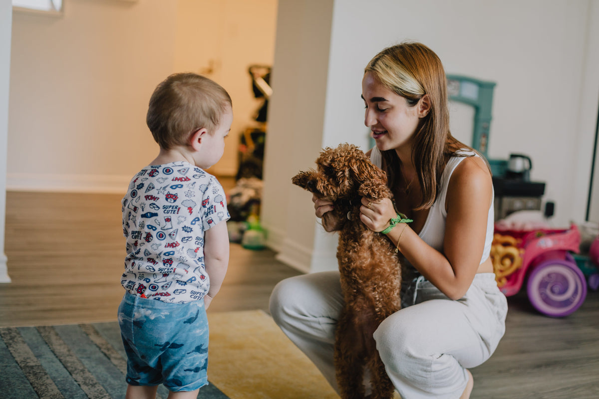 pet loss