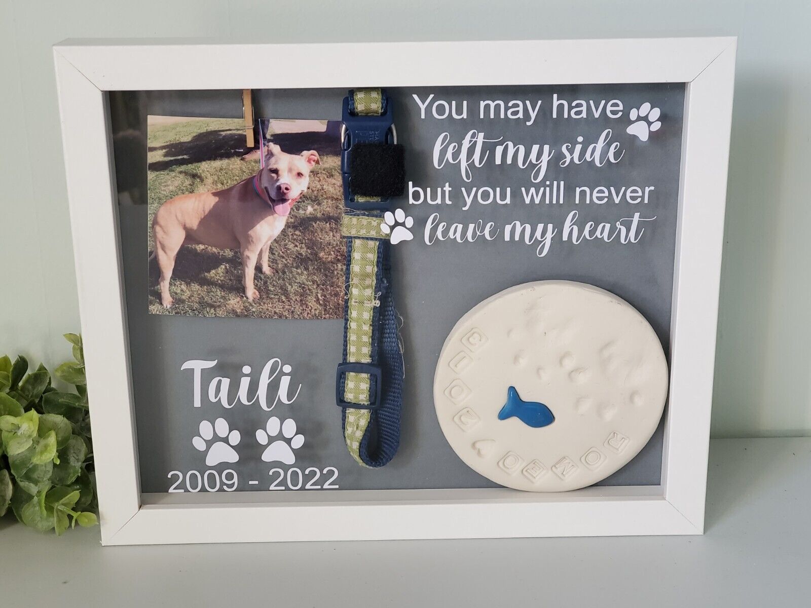 Unique and Thoughtful Pet Memorial Shadow Box Ideas Oaktree Memorials