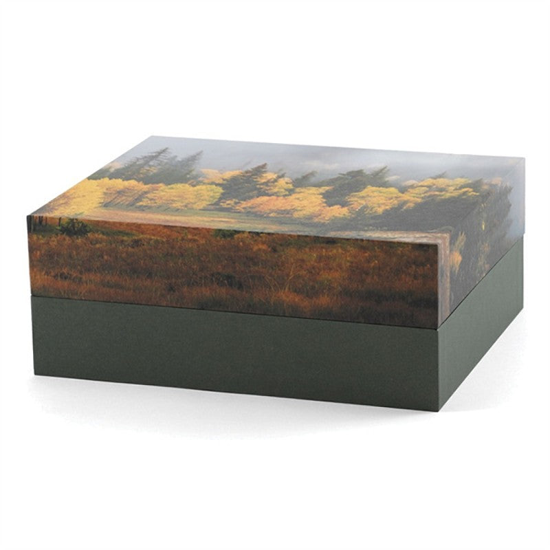 The Autumn Scattering Urn