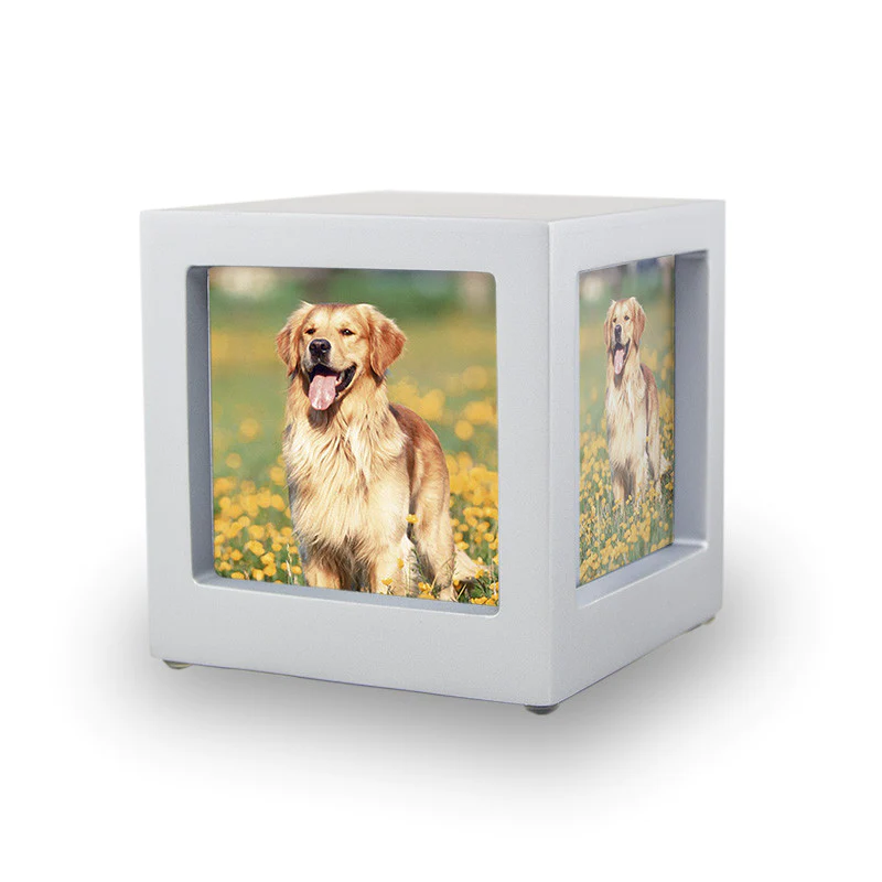 The Duke Picture Frame Pet Urn in Silver