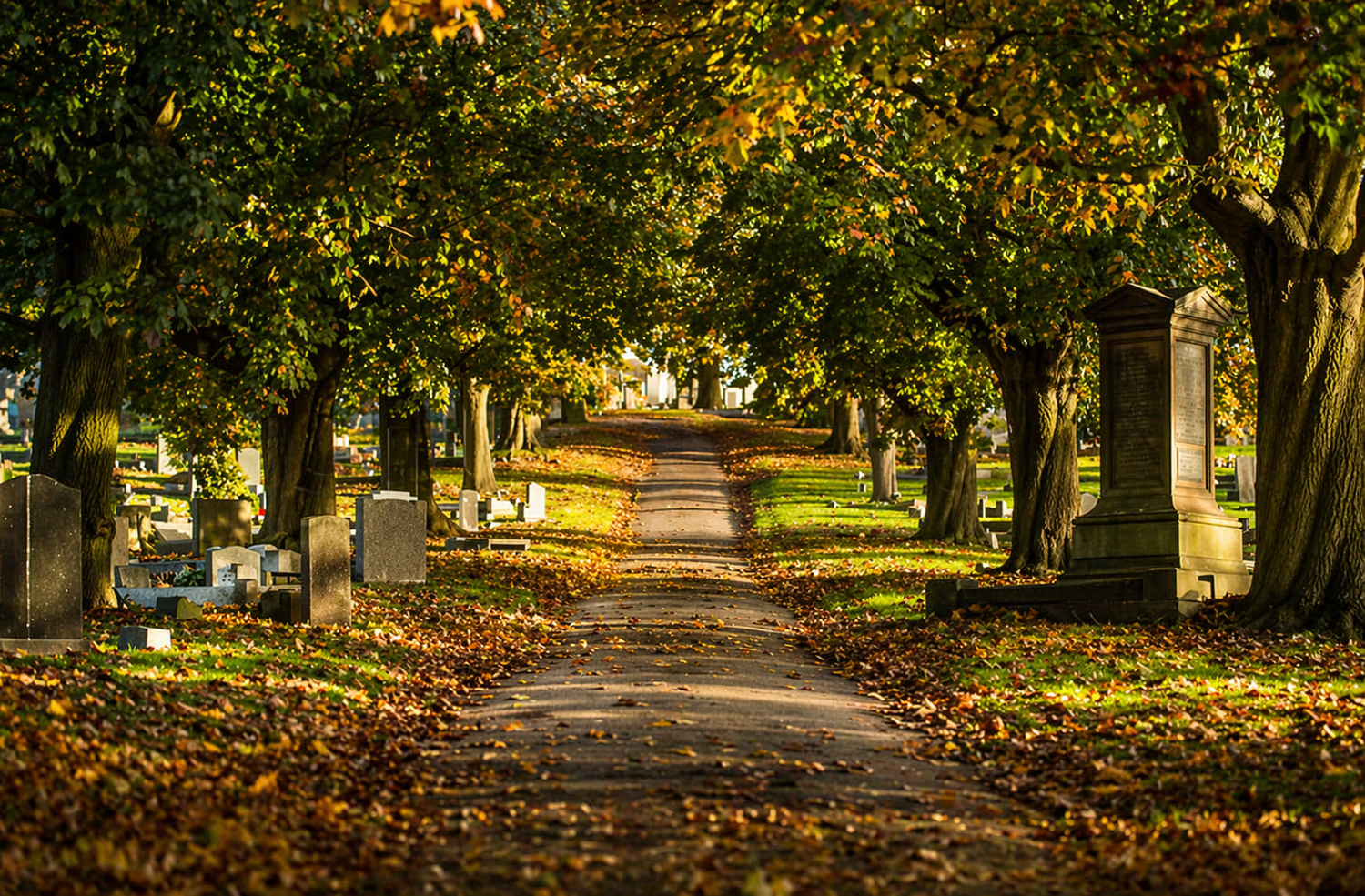 End-of-Life Financial Planning Checklist