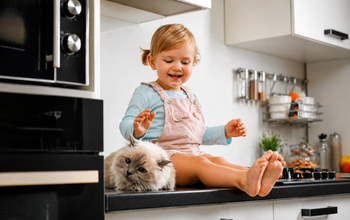 How to Keep Indoor Pets Mentally Stimulated