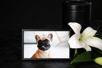 Memorial Photo Frames: Budget-Friendly Options
