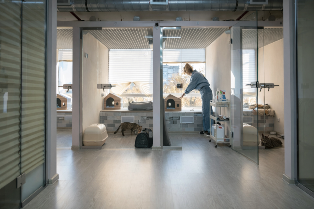How to Choose a Pet Sitter or Boarding Facility