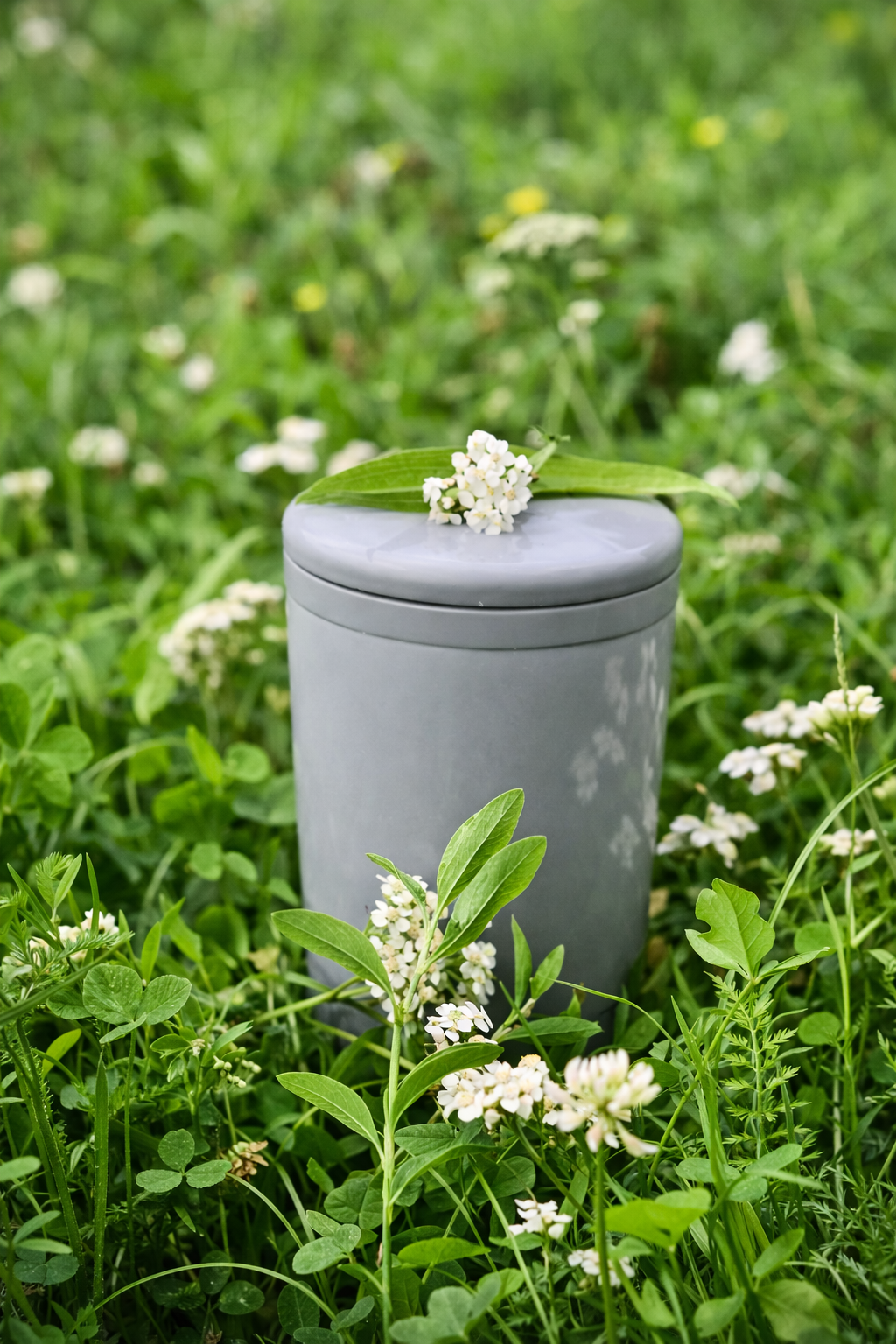Eco-Friendly Funeral Options Not Covered Elsewhere
