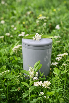 Eco-Friendly Funeral Options Not Covered Elsewhere