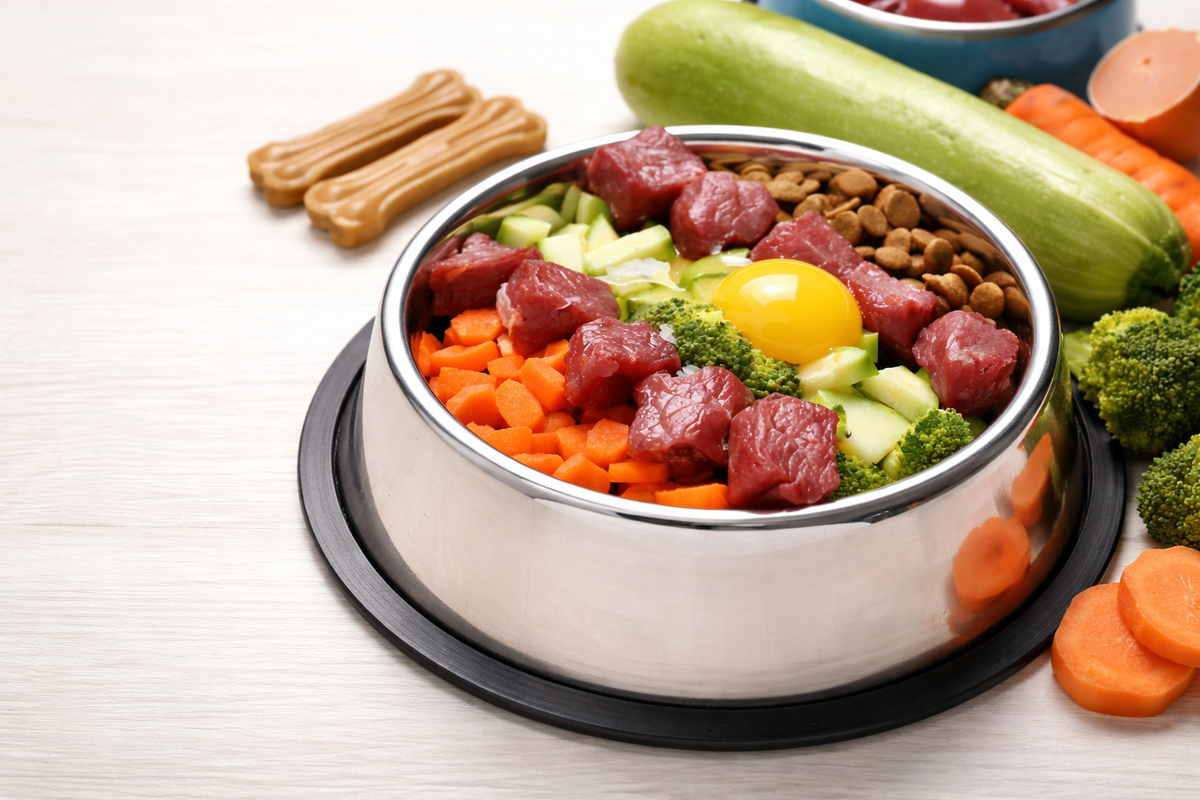 Nutrition Basics: Reading Pet Food Labels Correctly