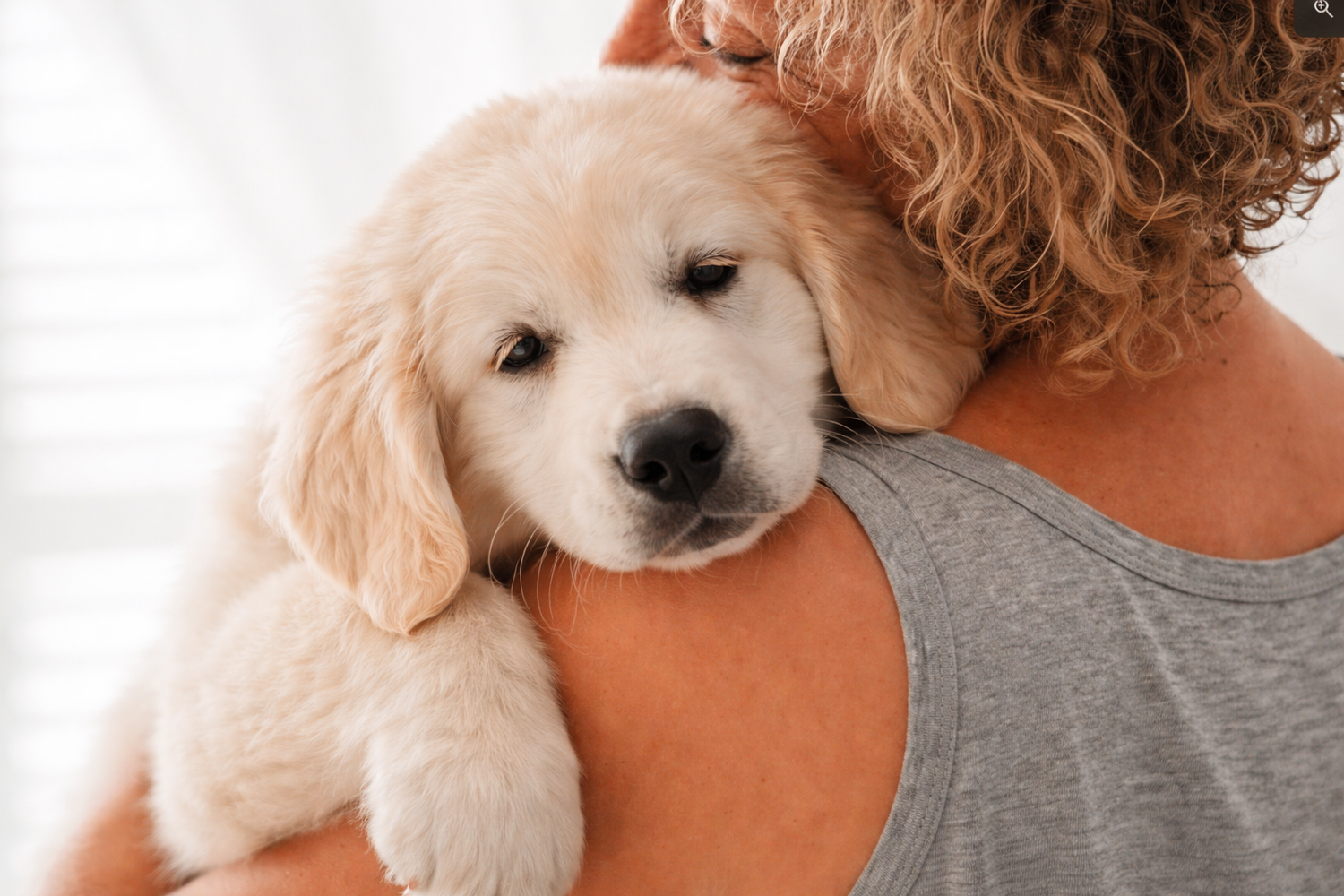 How Stress Affects Pet Health