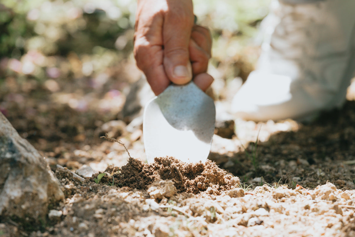 Sustainability in Memorials: Choosing Eco-Friendly Materials