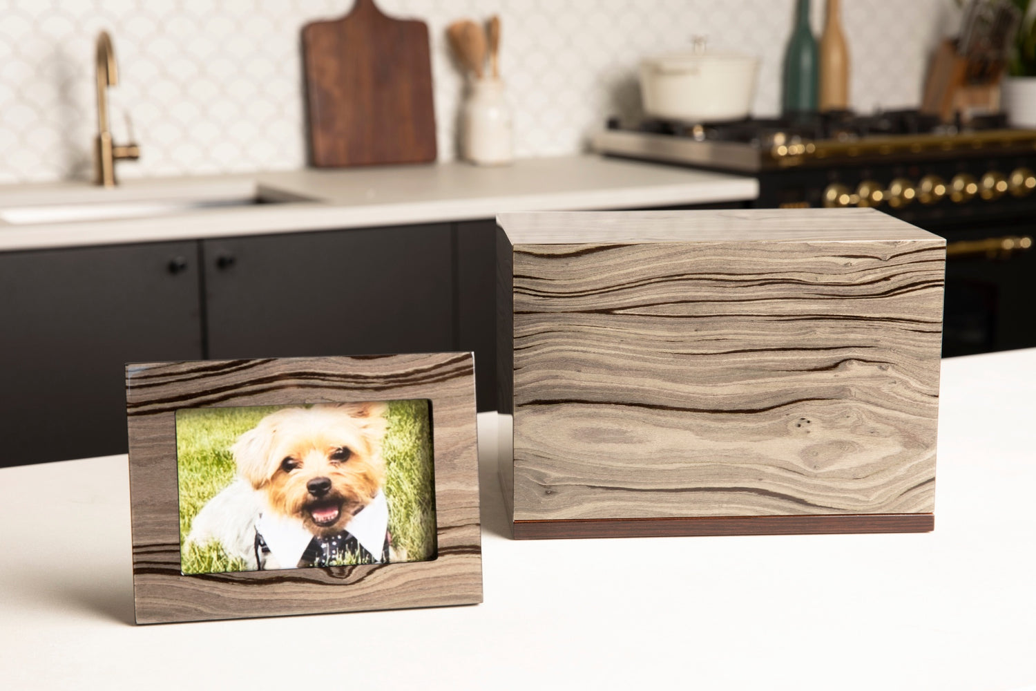 Urns for Dogs