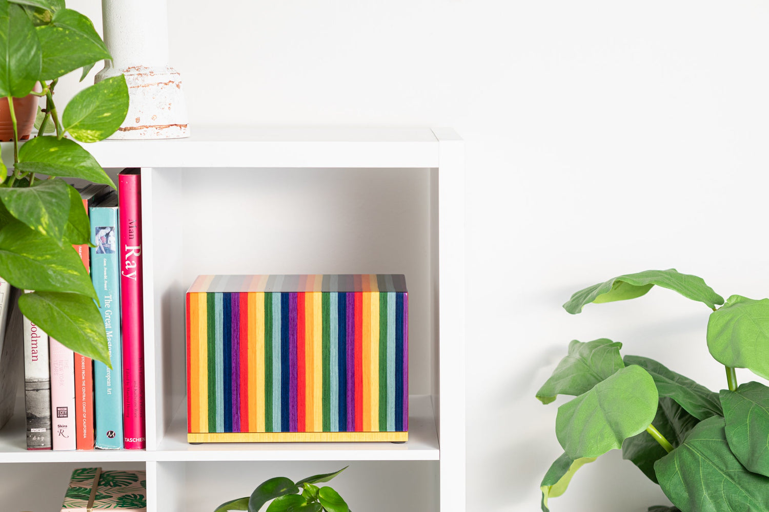 Eco-Friendly Urns