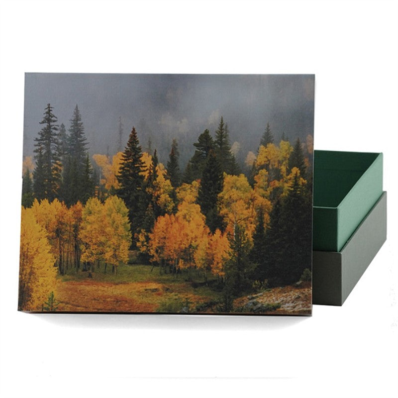 The Autumn Scattering Urn
