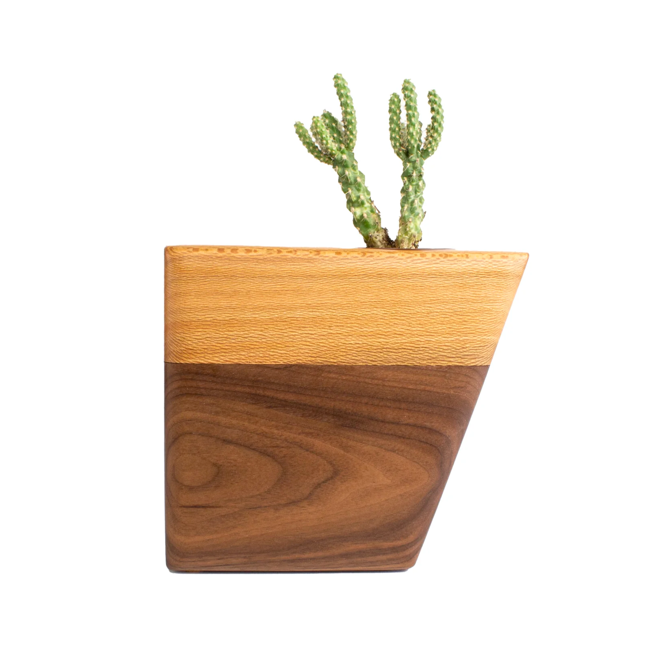 The Casey Plant Urn in Walnut &amp; Sycamore