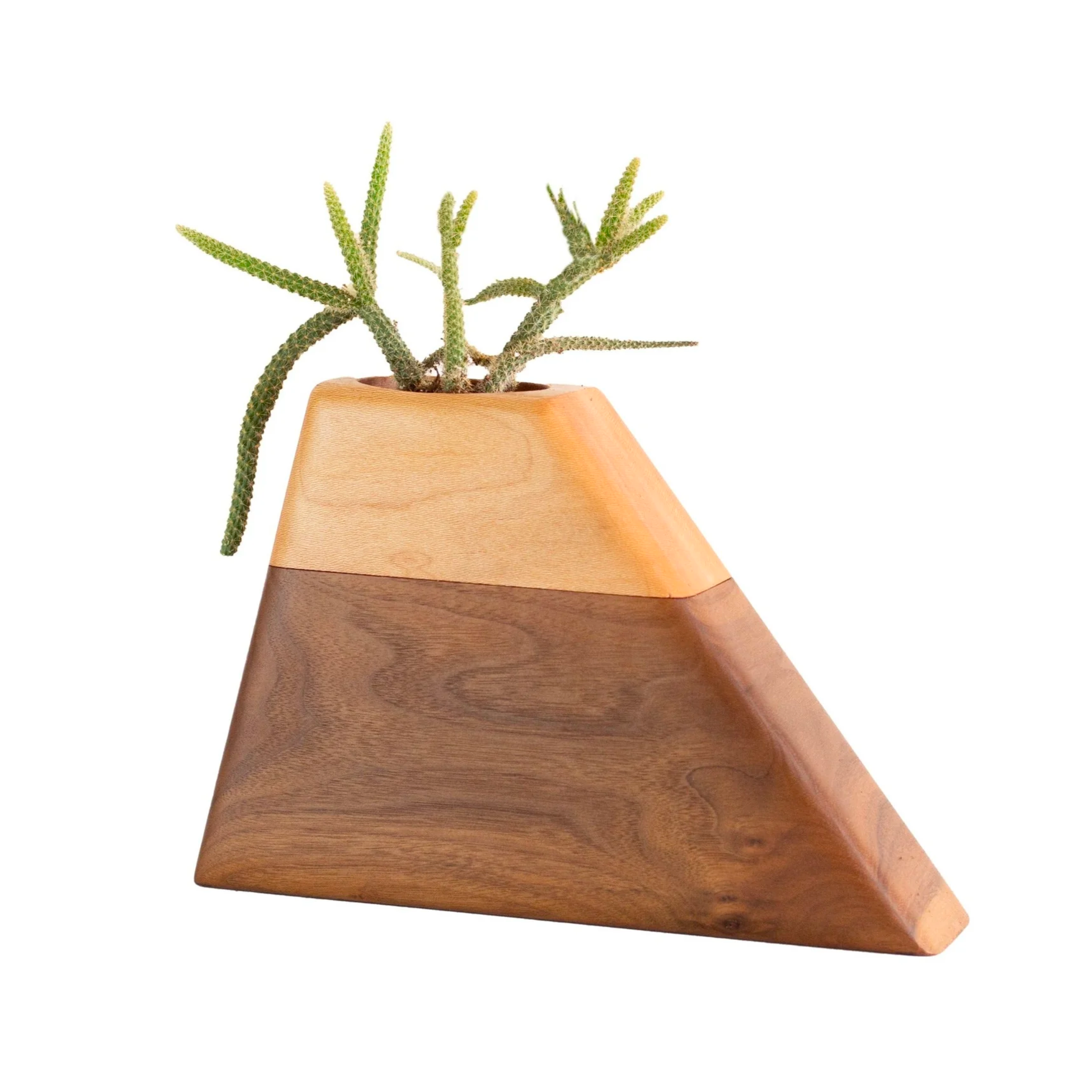 The Casey Plant Urn in Walnut &amp; Sycamore