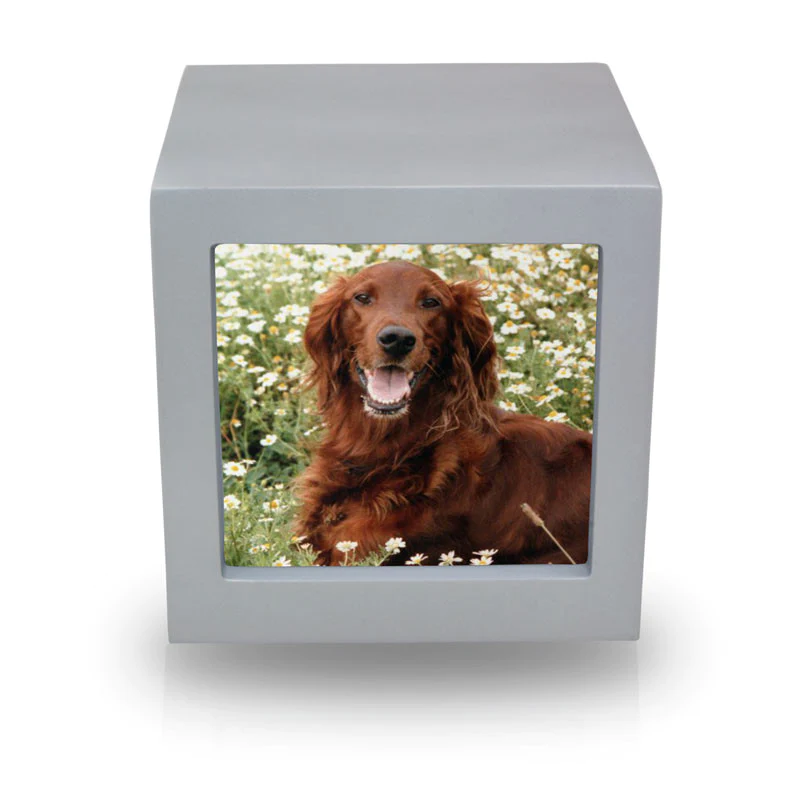 The Duke Picture Frame Pet Urn in Silver